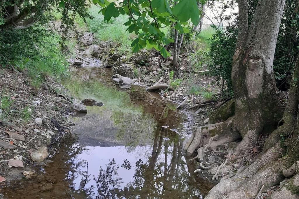 Studio Tout Confort Dans Maison De Caractere La Bastide  Exteriér fotografie